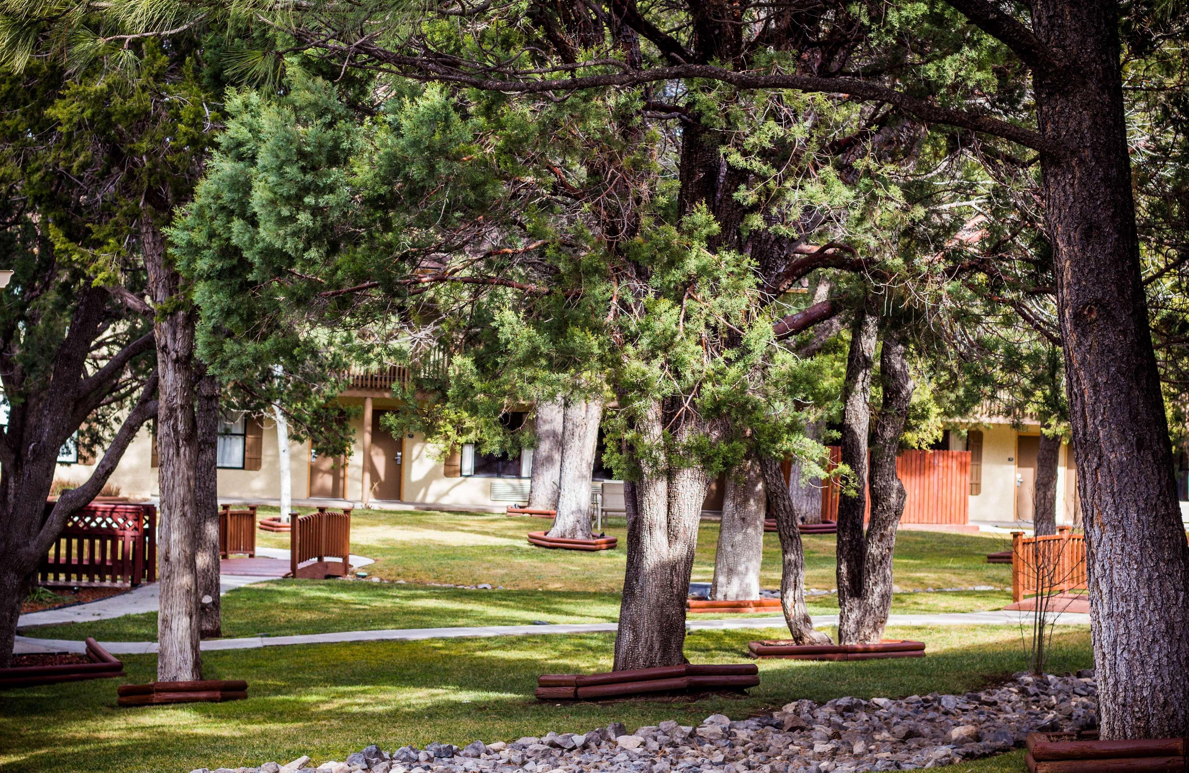 Best Western Pine Springs Inn Ruidoso Downs Ngoại thất bức ảnh