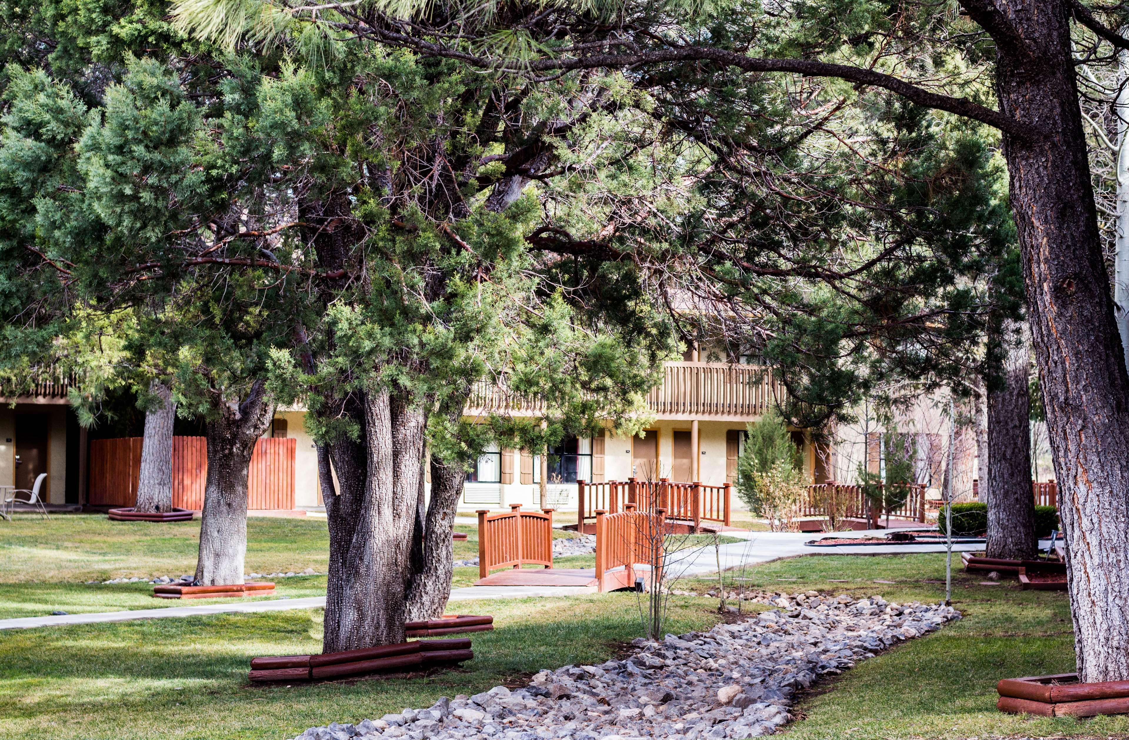 Best Western Pine Springs Inn Ruidoso Downs Ngoại thất bức ảnh