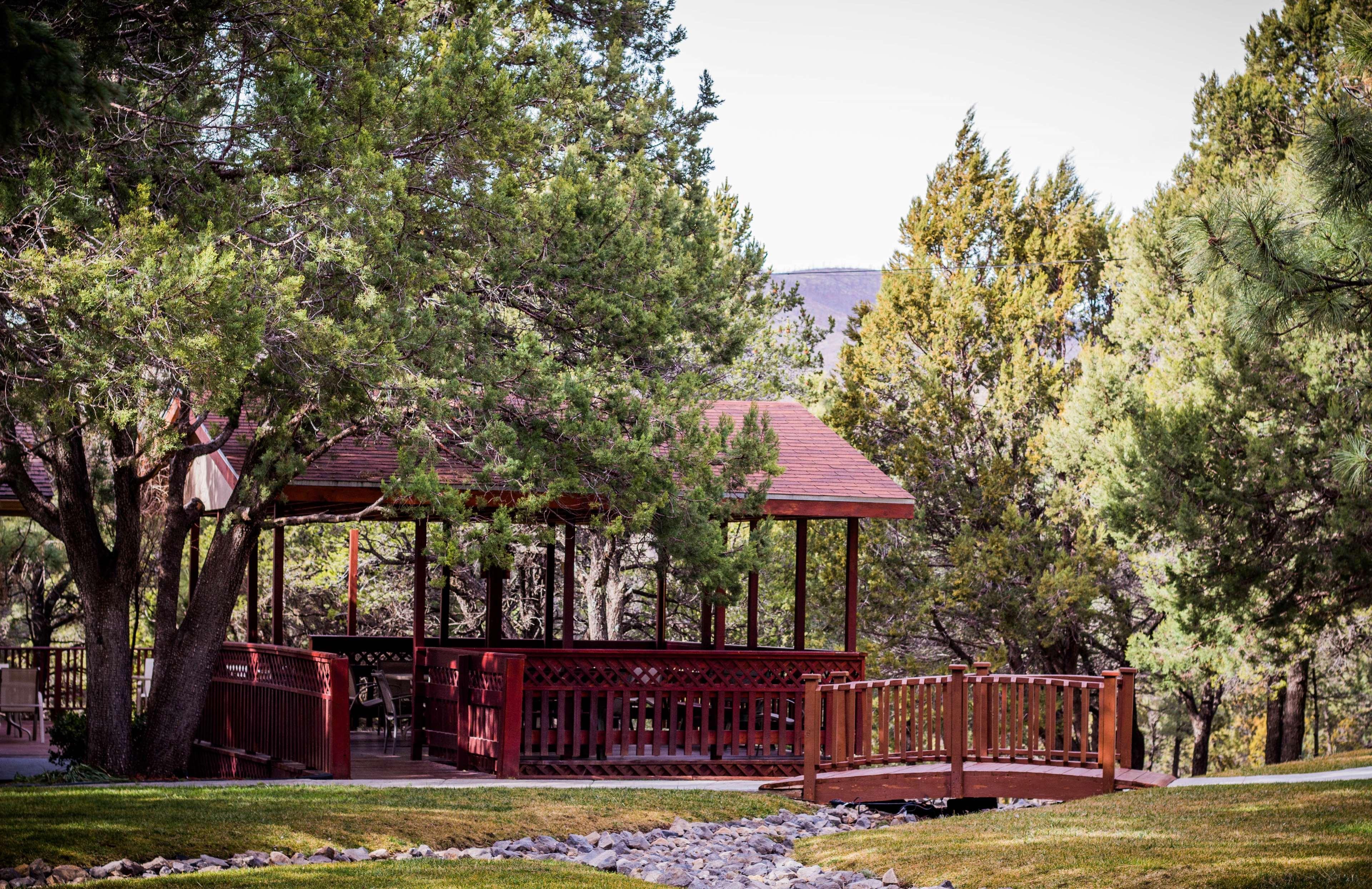 Best Western Pine Springs Inn Ruidoso Downs Ngoại thất bức ảnh